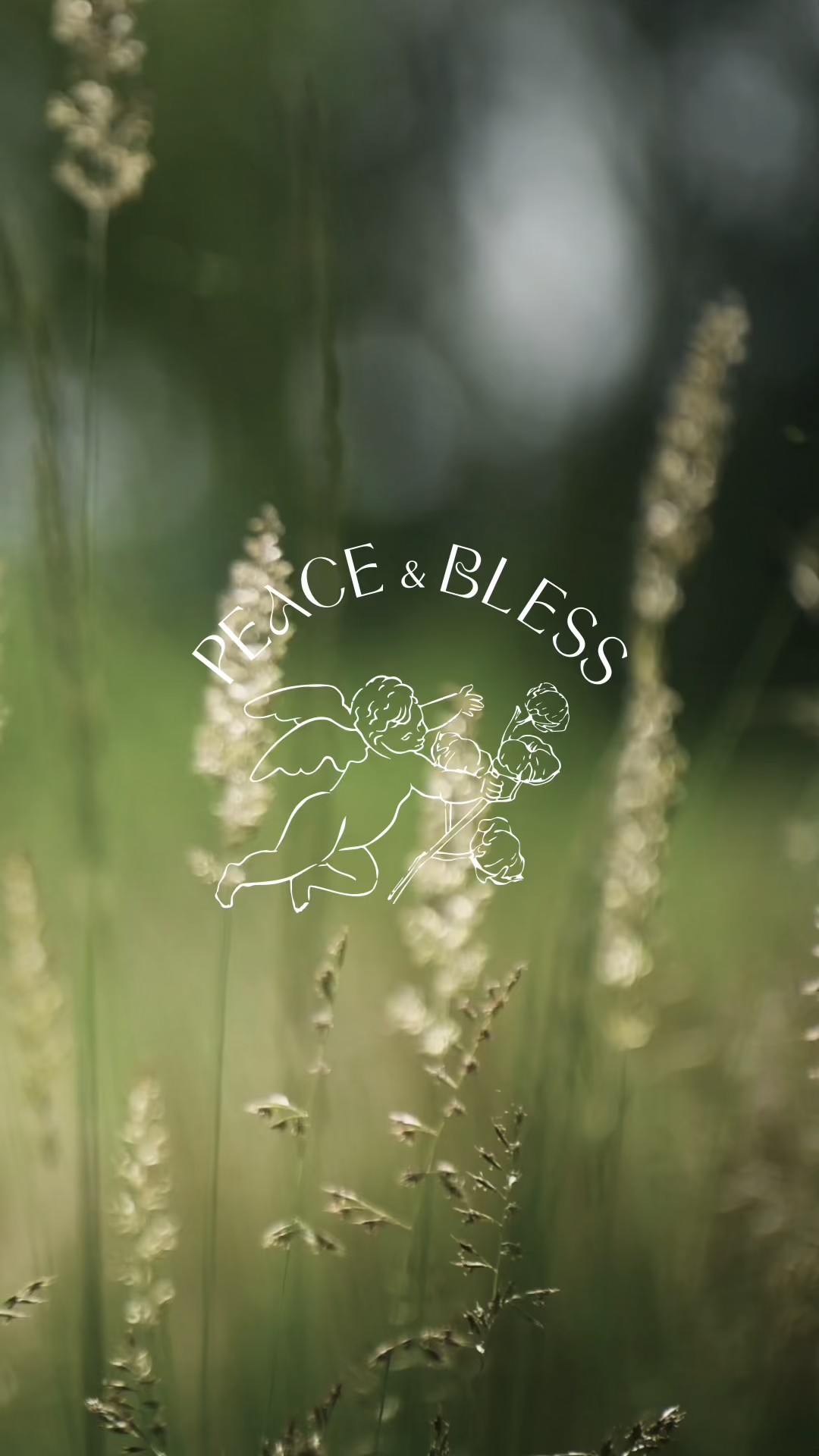 PEACE & BLESS 브랜드 아이덴티티